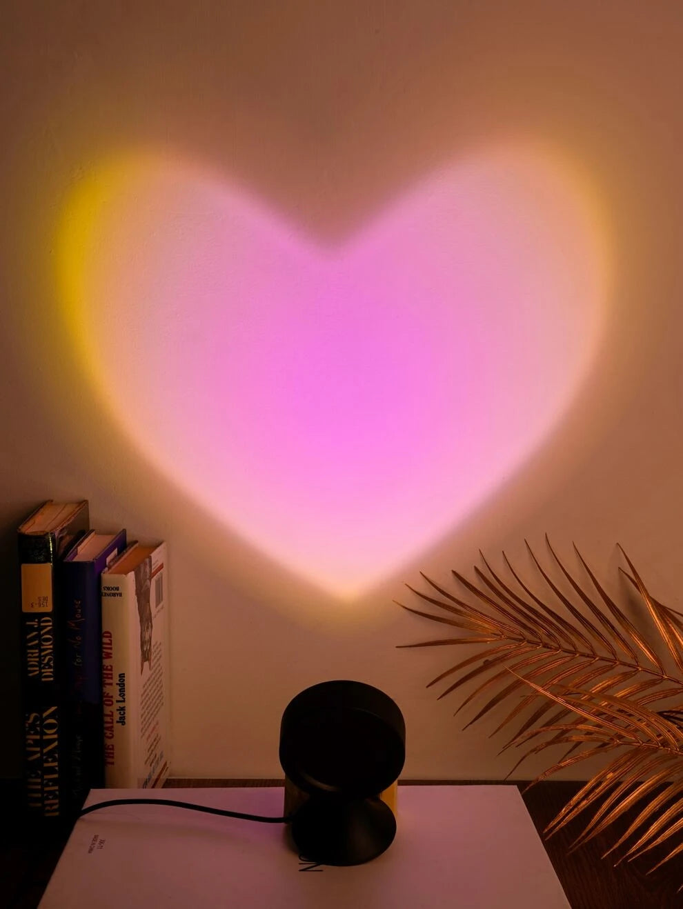 SHEIN BASIC LIVING LED Heart Sunset Projection Light