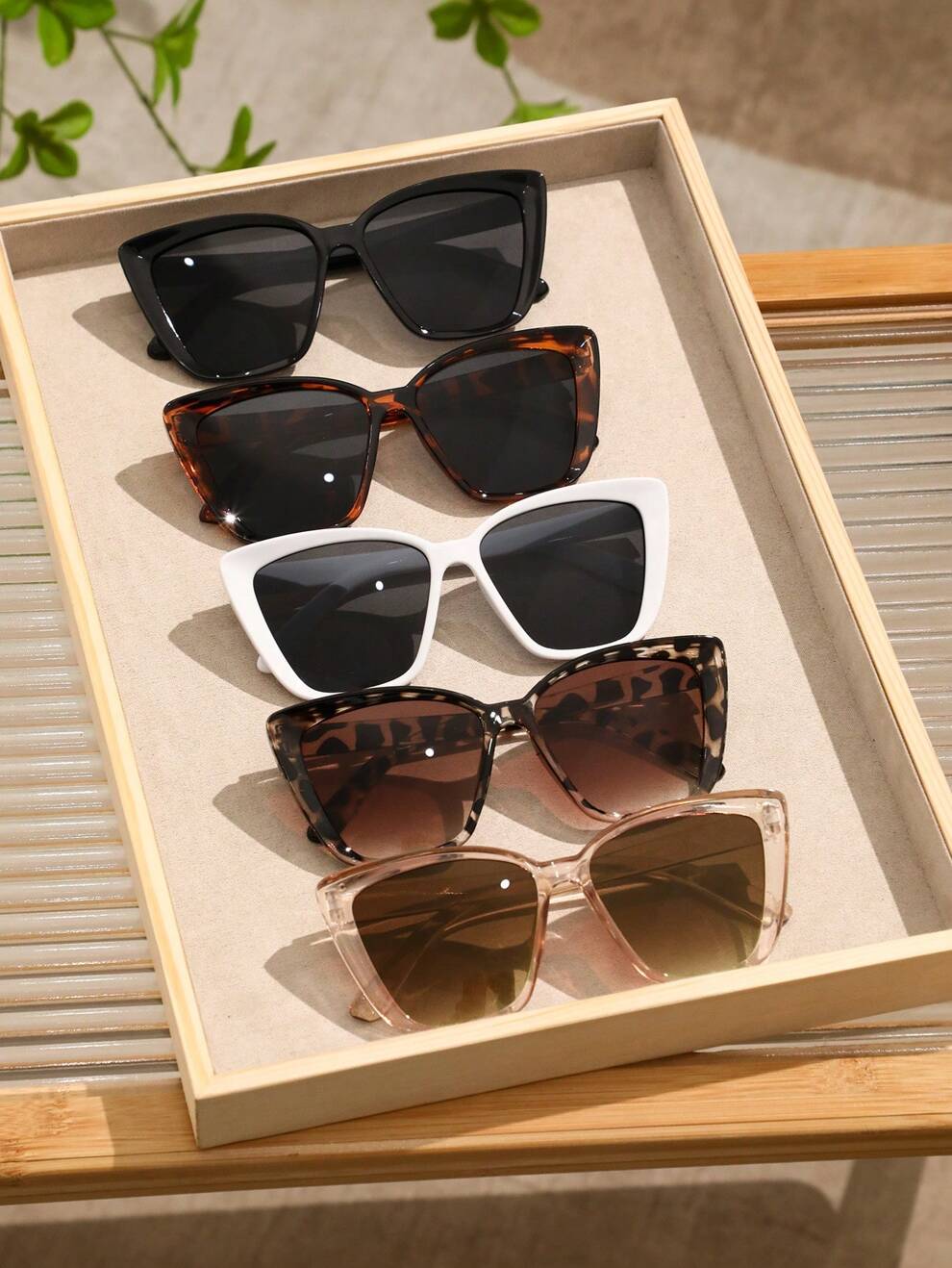 5pcs Women Plastic Large Cat Eye Fashion Glasses For Daily School Beach Travel Party Clothing Accessories