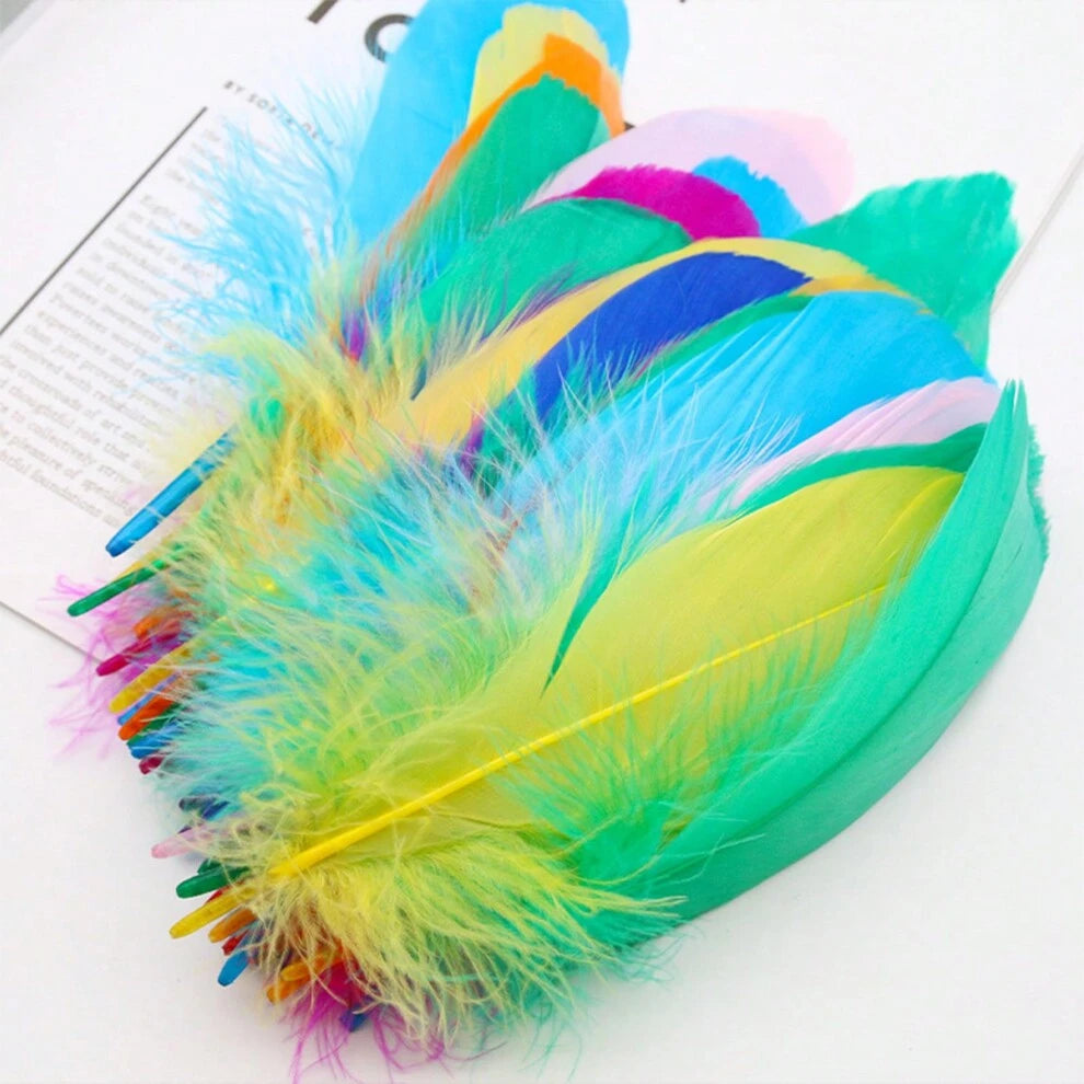 50pcs Colored Feathers DIY Crafts Hair Accessories Clothing Decoration Materials Package Decorative Parts