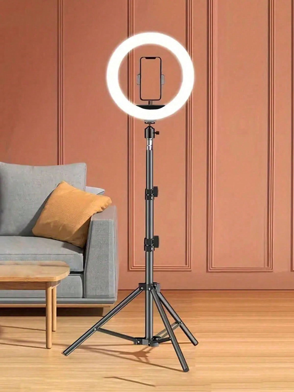 10-Inch Detachable Ring Light With Stand, LED Selfie Ring Light For Live Streaming, Photography, Makeup, Fits Compatible With IPhone 15 14 13 12 11 Pro Max, Samsung, Huawei, Xiaomi And Most Smartphone