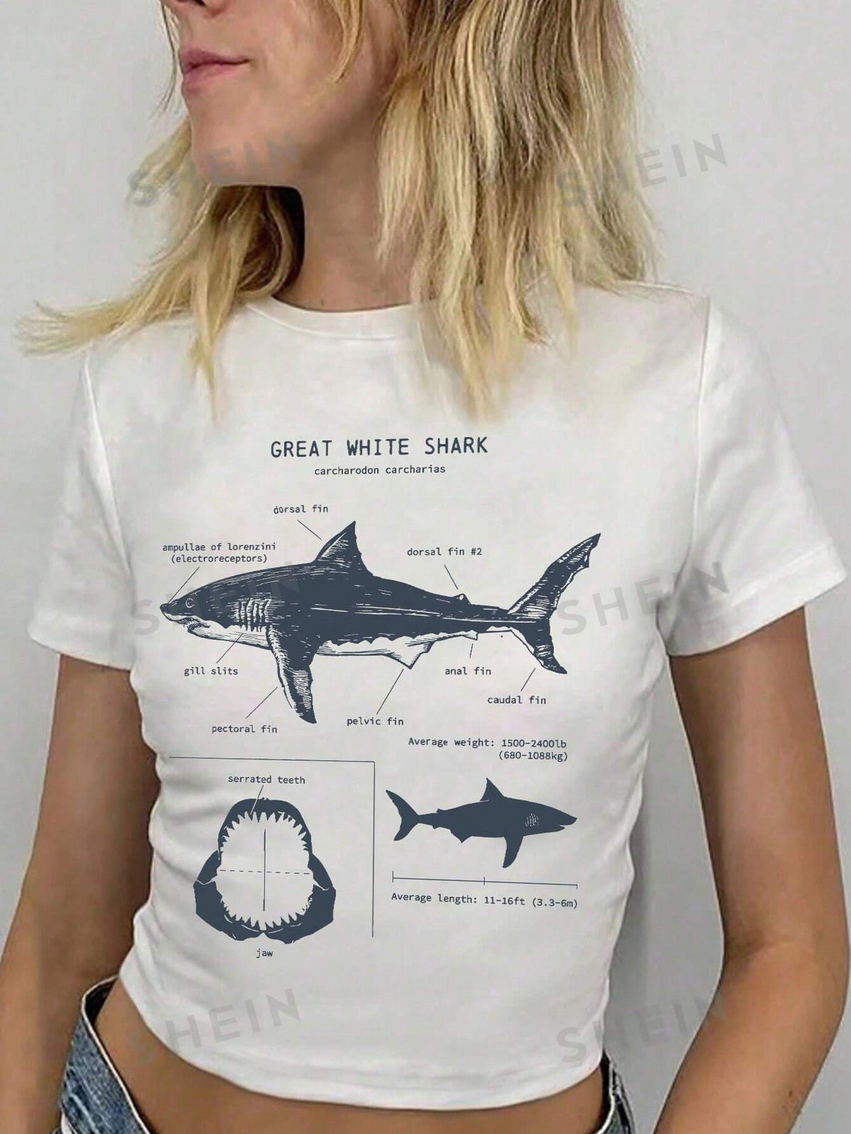 SHEIN EZwear Women Summer Casual T-Shirt With Shark Print And Slogan, Round Neck Short Sleeve GREAT WHITE SHARK Carcharodon Carcharias